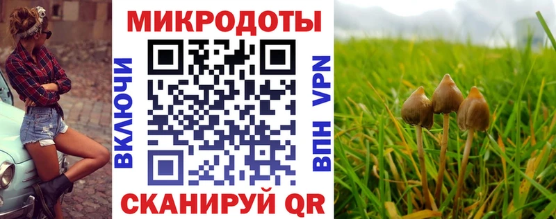 Псилоцибиновые грибы GOLDEN TEACHER  Цимлянск 